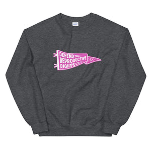Defend Reproductive Rights Unisex Sweatshirt by Luz Rodriguez